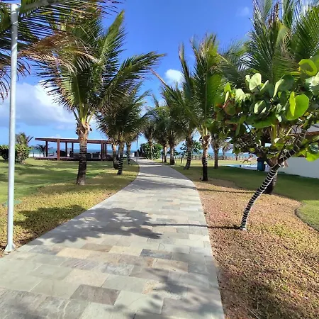 Cupe Beach Living 206 - Apt 2Qts Beira-Mar - Cupe Beach Living 206 By Haus-3